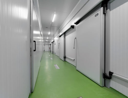 COOPERATIVA DELIKATETXE